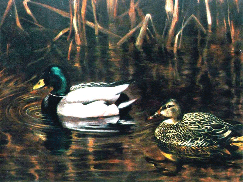 ducks print